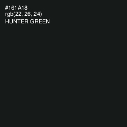 #161A18 - Hunter Green Color Image